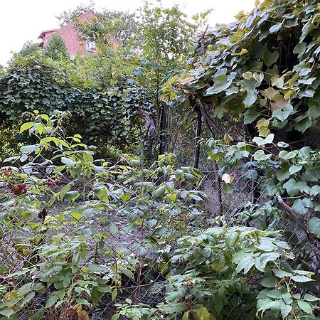 Apartamenty Lux Slowackiego, Przemyśl Zewnętrze zdjęcie